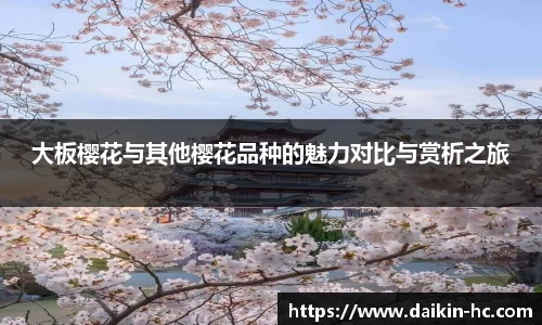 大板樱花与其他樱花品种的魅力对比与赏析之旅